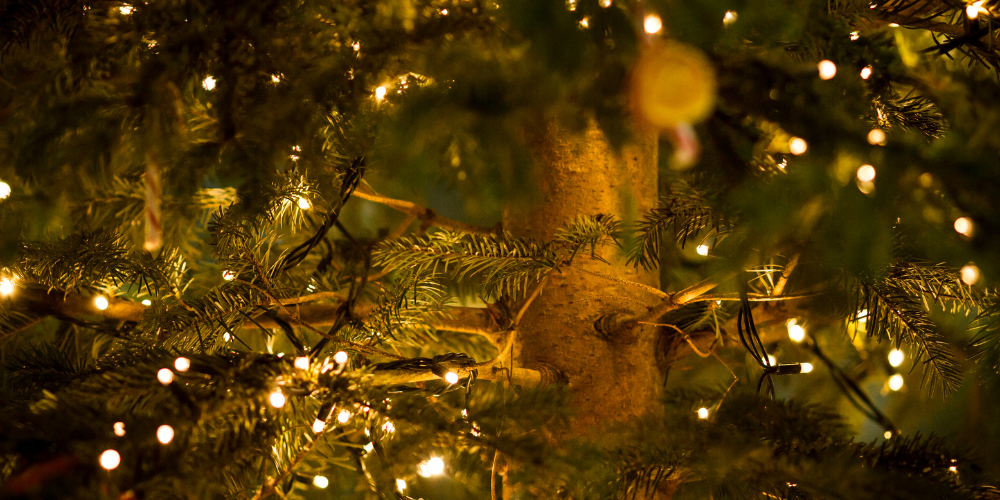 Використання штучних ялинок у різдвяному ландшафтному дизайні