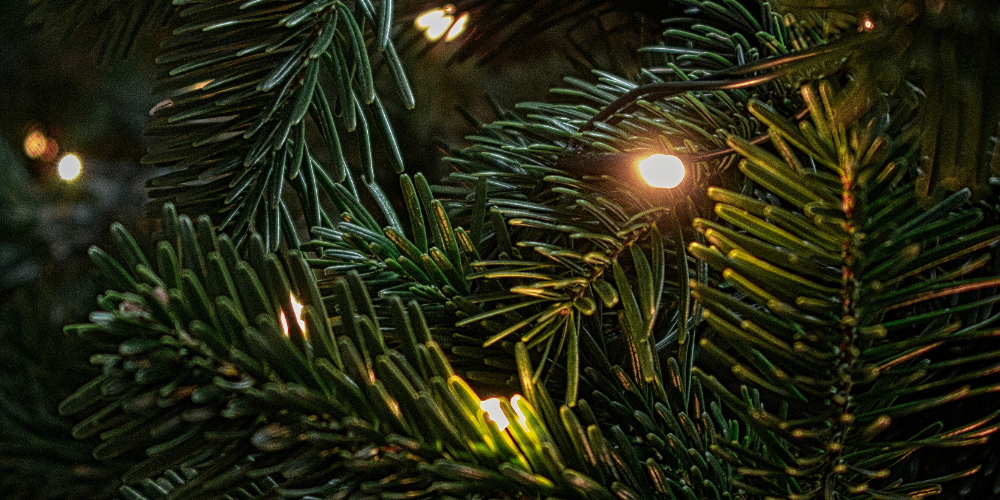 Поради щодо вибору різдвяних гірлянд для басейну