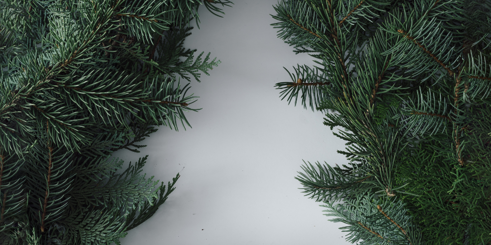 Як створити вінок з штучних гілок ялинки