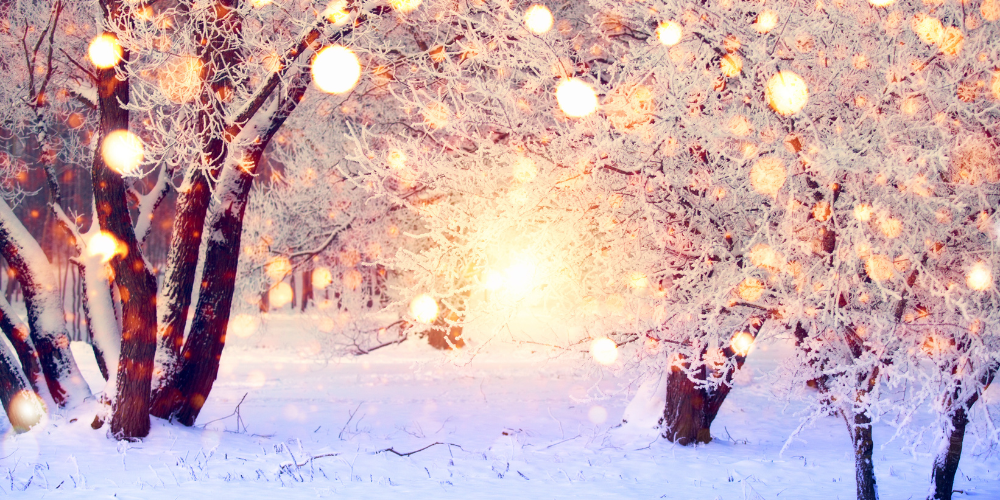 Використання штучних ялинок у декорі торгових центрів